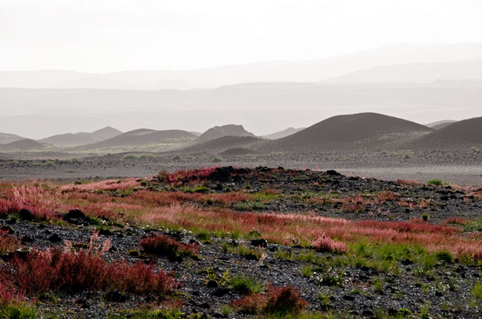 Volcanic landscape