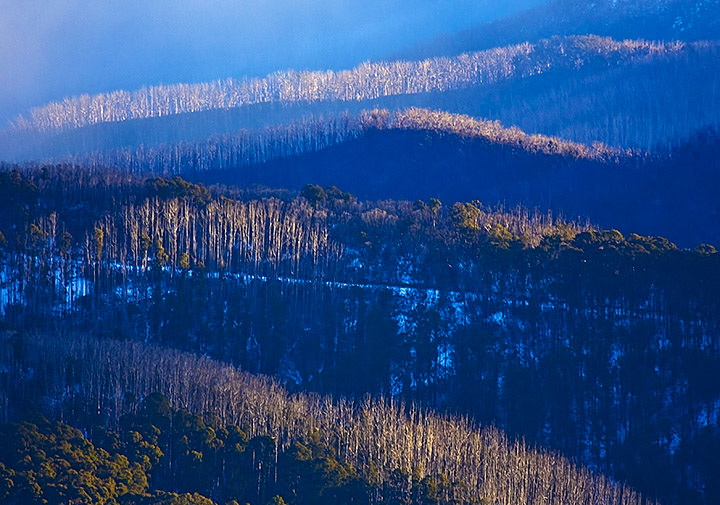 Victorian Alps