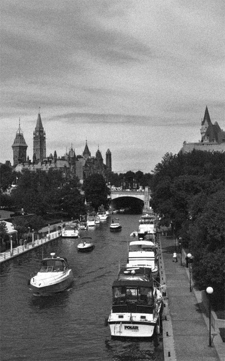 Family of Ducks on the Rideau Canal