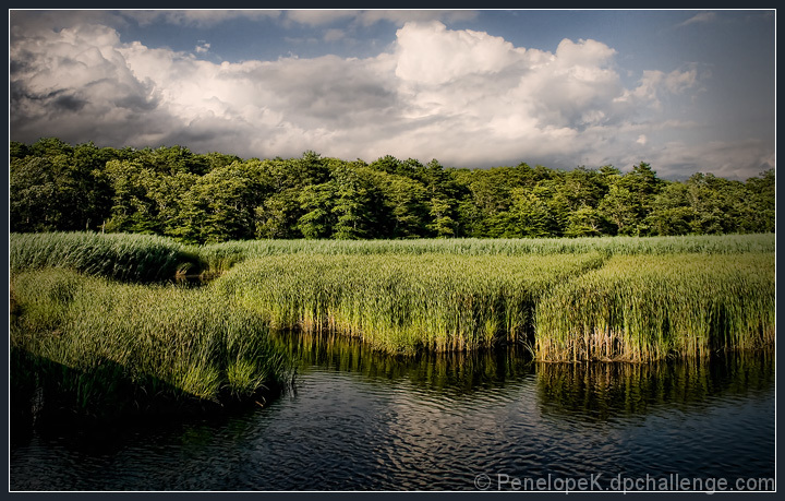 Brewing Storm, Bell's Neck, Late Afternoon