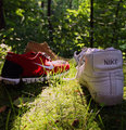 A few of my favorite shoes