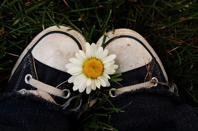 Petal Promises