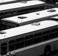 2 Papagaio Verde [bus going to Green Parrot land?!]