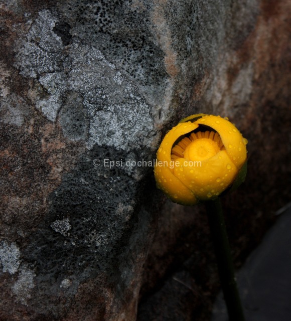 Softness Resting on Hardness