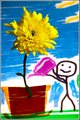Look What I Draw'd For You