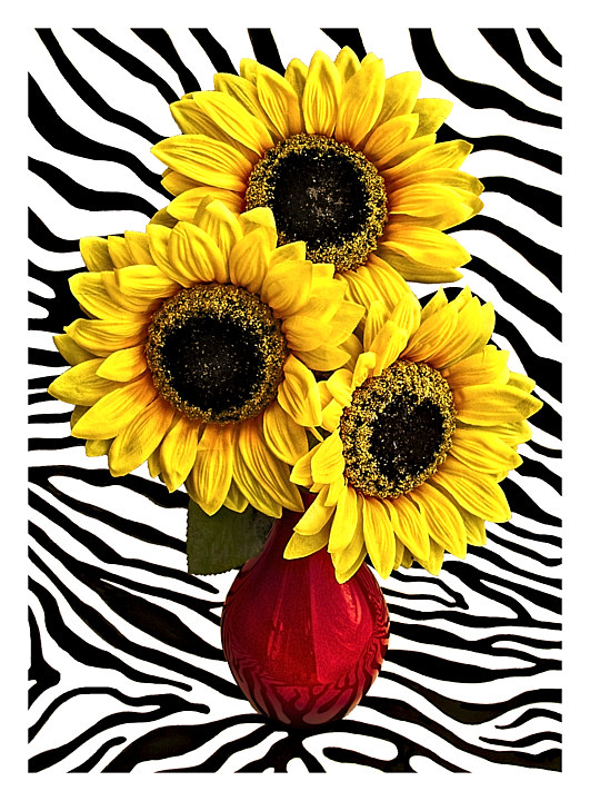 Tournesols