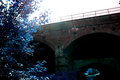 Vivid Blue