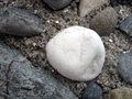 A small wonder that made an earth ….