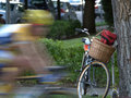 Passing Cyclist