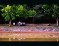 Tranquility