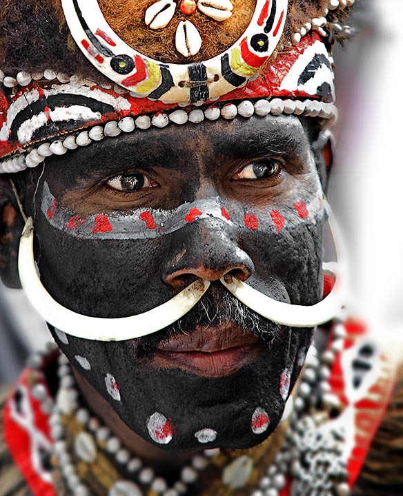 Colors of a Tribesman