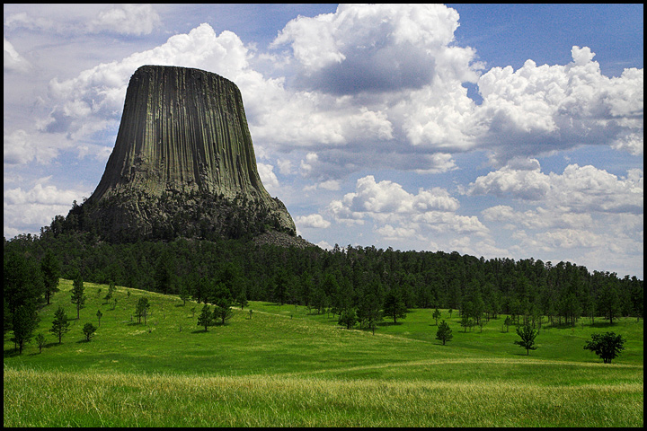 A Tower In The Forest