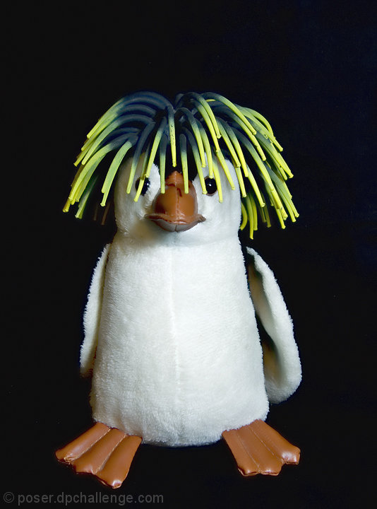 Penguin