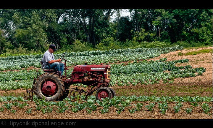 FarmLivingIsTheLifeForMe 