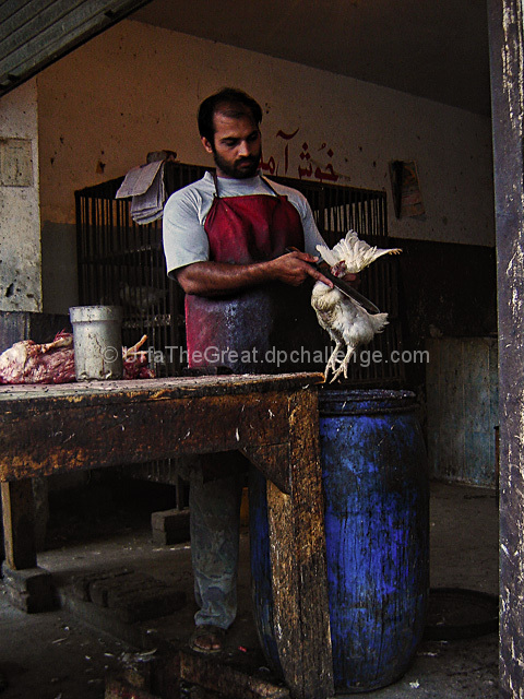 Cycle of Life at the butcher's