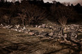 While they are sleeping... R.I.P