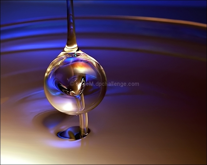 The cooking oil blob