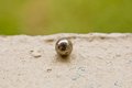 Ball Bearing