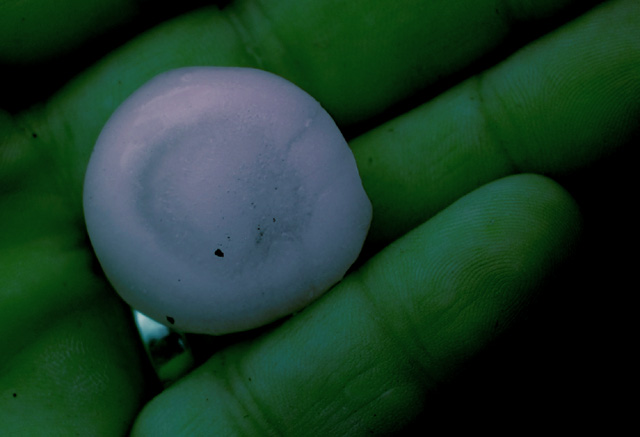 Alien Rain Drop