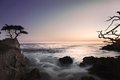 it's good to be lone (cypress)