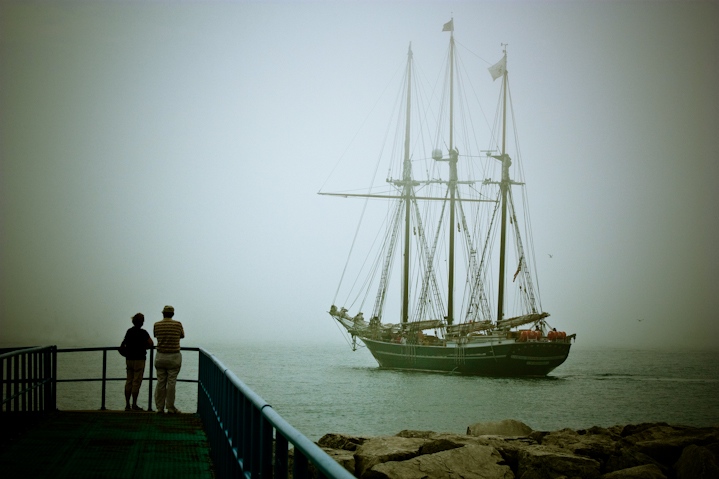 Into the Fog