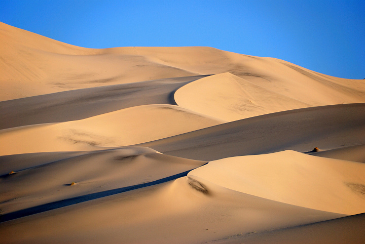 Arrakis