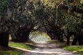 Road to Nowhere