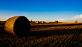 Fields of Gold