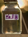 Well Water: "How to Be Responsibily Green, Surprisingly Healthy, And Thankfully Cheap!"