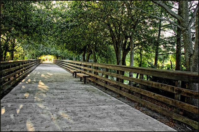Where the Sidewalk Ends - by Shel Silverstein 