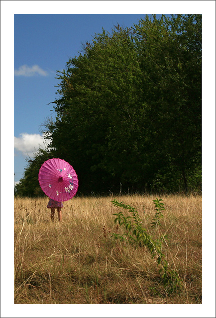  Pink Parasol 