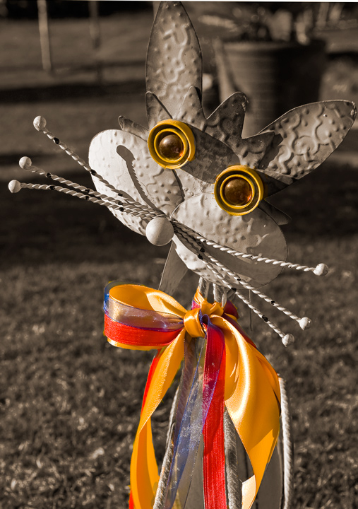 Ribbons brings life to a photo...
