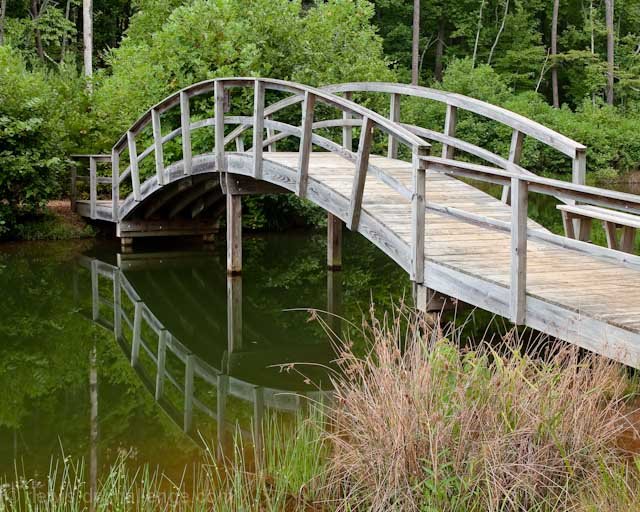 Toad Pond Bridge