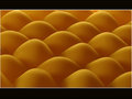 shells and cheese