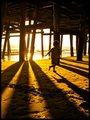 Under the Pier 