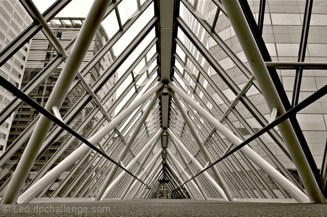 Skybridge