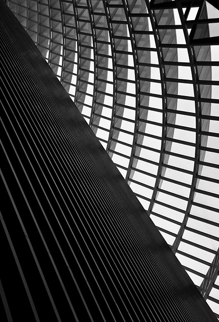 Lines and Arcs