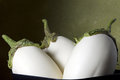 White Aubergine
