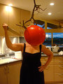 Tomato Head