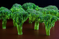 Broccoli forest