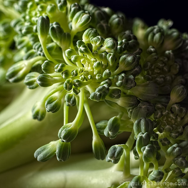 Choppin' Brocco-lee, Choppin' Broccol-eye