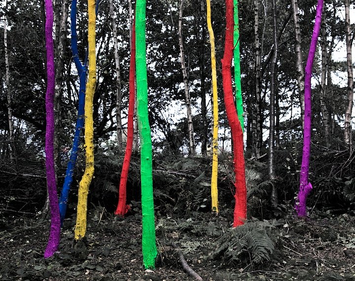 Technicolor Trees