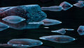 Skykomish River Rocks