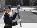 Guarding the Tomb of the Unknowns
