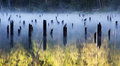 The Mistery of the Red Lake