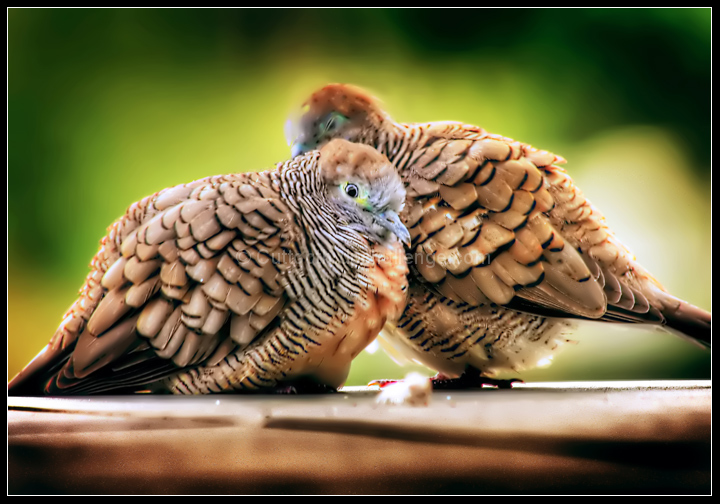 Togetherness