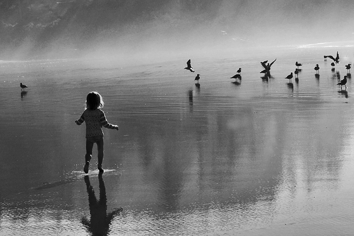 Wonder