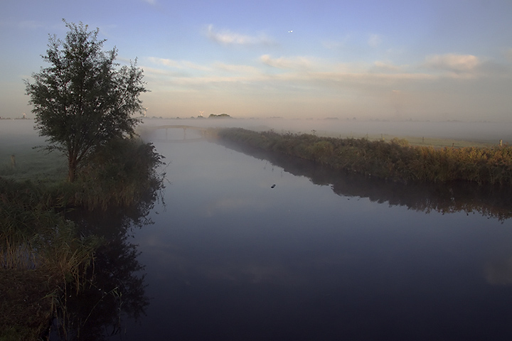 Misty morning