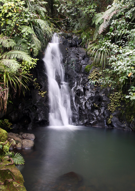 Fairy Falls, Piha, New Zealand