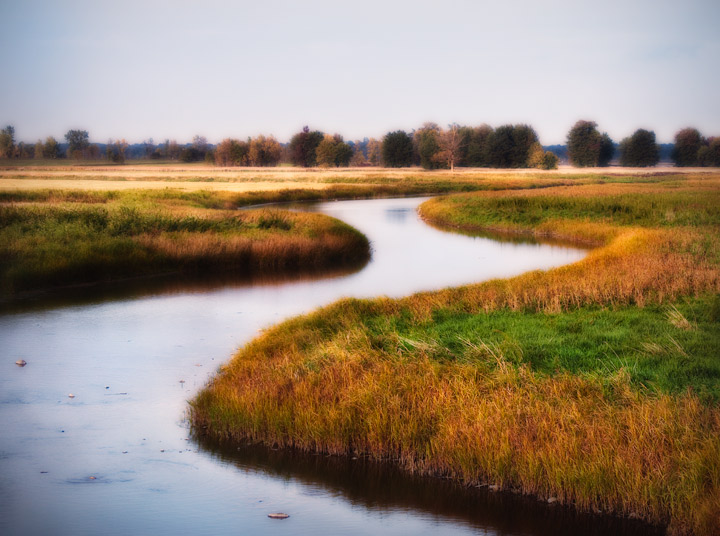 River through the Marsh